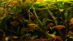 Gemeinsames ausschwimmen