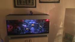 Noch viel Platz, geplant im neuen Jahr ein 1,80 m Becken