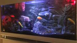 Aquarium Yellow Tank