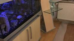 Alter Fussboden ist fast komplett raus.Nun muss das Becken nur noch weg! 