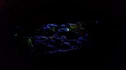 Lichtspiele bei Nacht