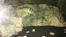 Was hat sich da eingeschlichen?