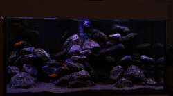 Dekoration im Aquarium The Rock