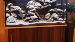 Gesamtansicht mit Blitz 