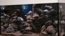 Dekoration im Aquarium The Rock