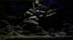 Becken am 04.05.2014 