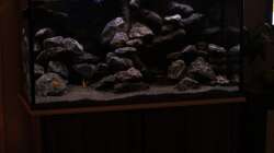 Gesamtansicht ohne Blitz so sieht es Real aus !!