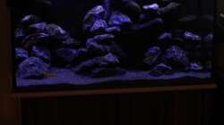 So nur die Kaltweiße LED und die Blaue !!