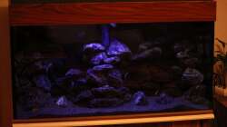 Neue Abdeckung von Friedeberg in Nussbaum 