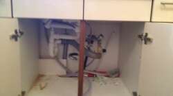 Aquarium Malawi Reef