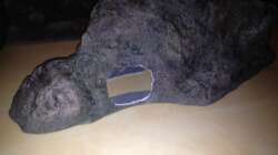 Dekoration im Aquarium Malawi Reef