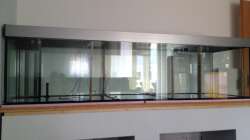 Aquarium Malawi Reef