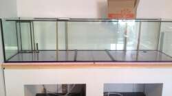 Aquarium Malawi Reef