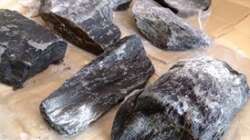 Dekoration im Aquarium Malawi Reef