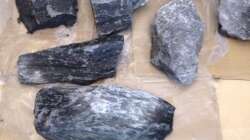 Dekoration im Aquarium Malawi Reef