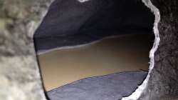 Dekoration im Aquarium Malawi Reef