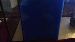 Technik im Aquarium Malawi Reef