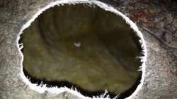 Dekoration im Aquarium Malawi Reef