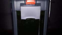 Eheim Proffesional 3 600