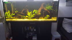 Gesamtansicht-Standort