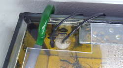 Polystyrolplatte links hinten