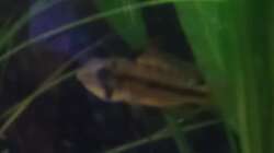 Nicht mehr alleine, endlich