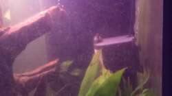 Der neue und Alte Filter