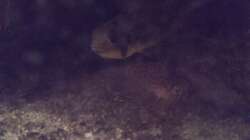 Die Verstecke kommen an :)