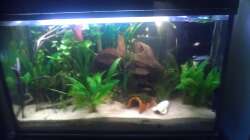 Bin kein Fotograf, vorallem mit dem Handy ^^