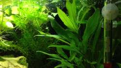 bisschen abhängen im Grün 