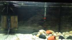 Wie ich es erhalten habe...