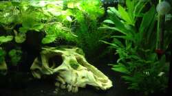 ...was ich drauß gemacht habe