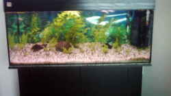 Aquarium Becken 2923