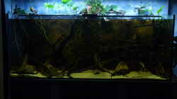 Aquarium South America Biotope Nur noch als Beispiel