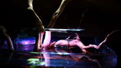 Technik im Aquarium Little fire