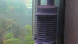 Vorfilter + Heizstab