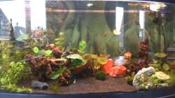 nach der Umstrukturierung