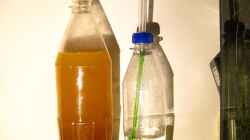 Bio CO² `Reaktor mit Spülflasche`