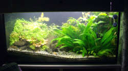 Juni 2013 - Drei Wochen nach der Einrichtung