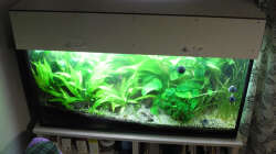 Dezember 2014 - Passt!