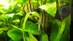 Februar 2014 - Kinderstube die zweite