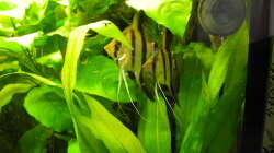 Februar 2014 - Kinderstube