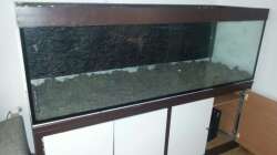 Aquarium Altum Wurzelbiotop