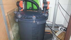 Technik im Aquarium Altum Wurzelbiotop