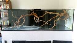 Aquarium Wurzelbiotop 2 (Nur noch als Beispiel)