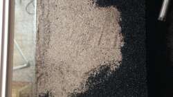 Langzeitdünger, drunter der Bodenfluter