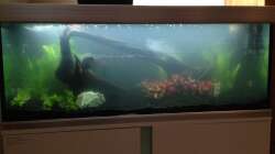 Aquarium EHEIM proxima 325