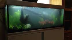 Aquarium EHEIM proxima 325