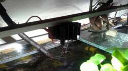 Sternkühlkörper mit Cree LED Platine