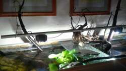 Aluprofil mit Sternkühlkörpern